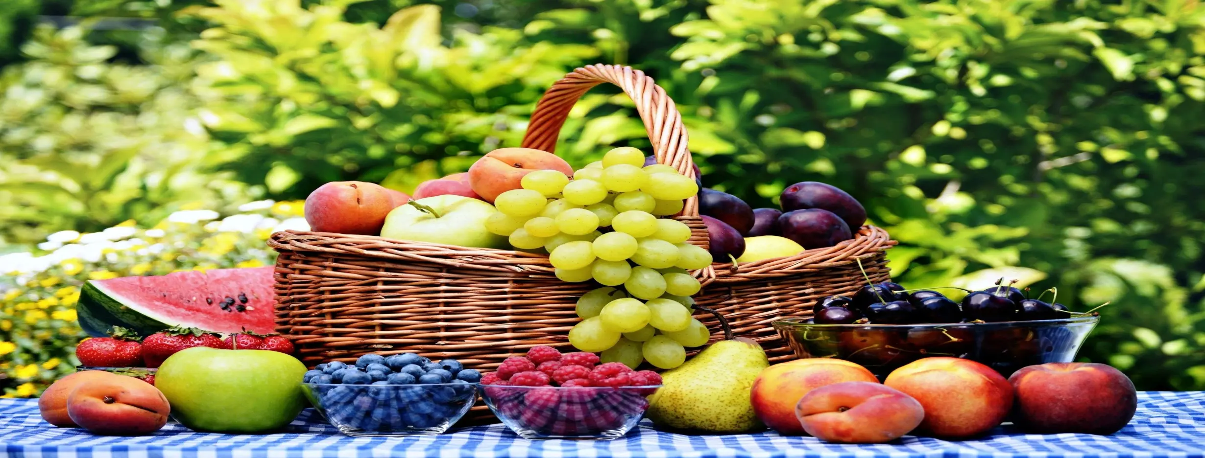 Image for Fruit Orchards